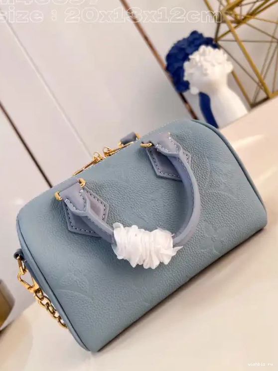 WIS VUITTON 20 SPEEDY LOUIS BANDOULIÈRE 0609